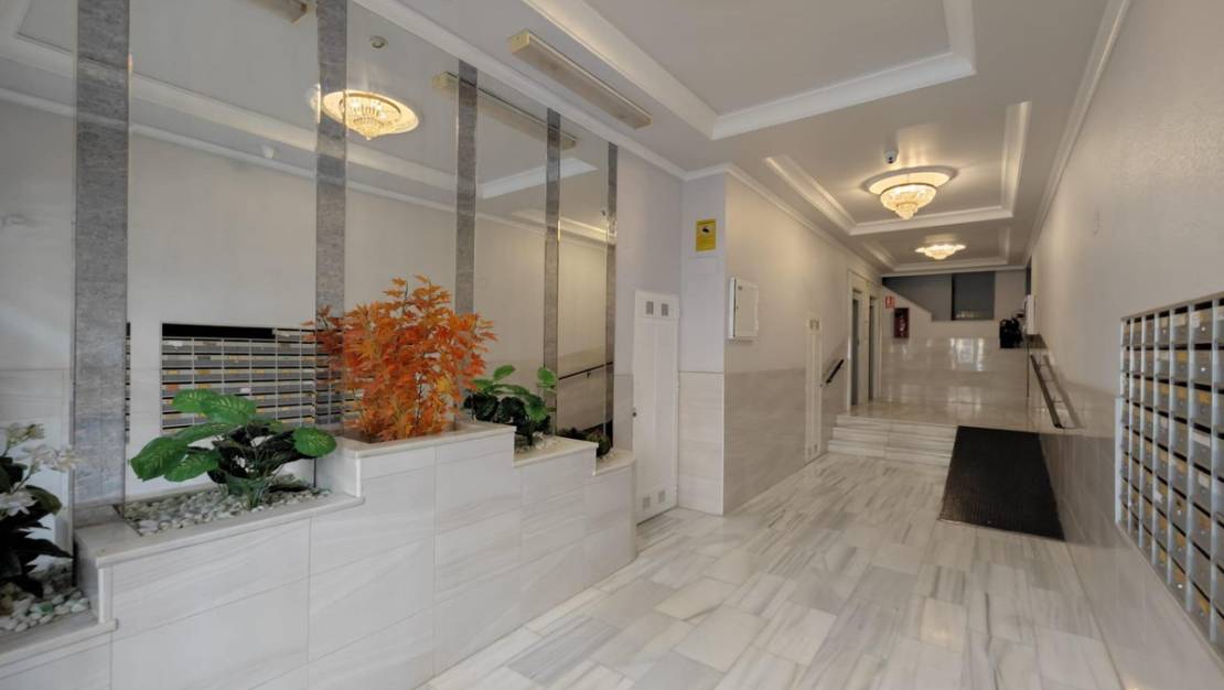 Venta - Apartment - Torrevieja - Torrevieja Centro