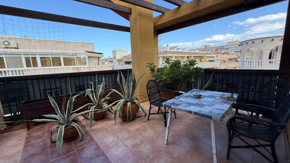Venta - Apartment - Torrevieja - Torrevieja Centro
