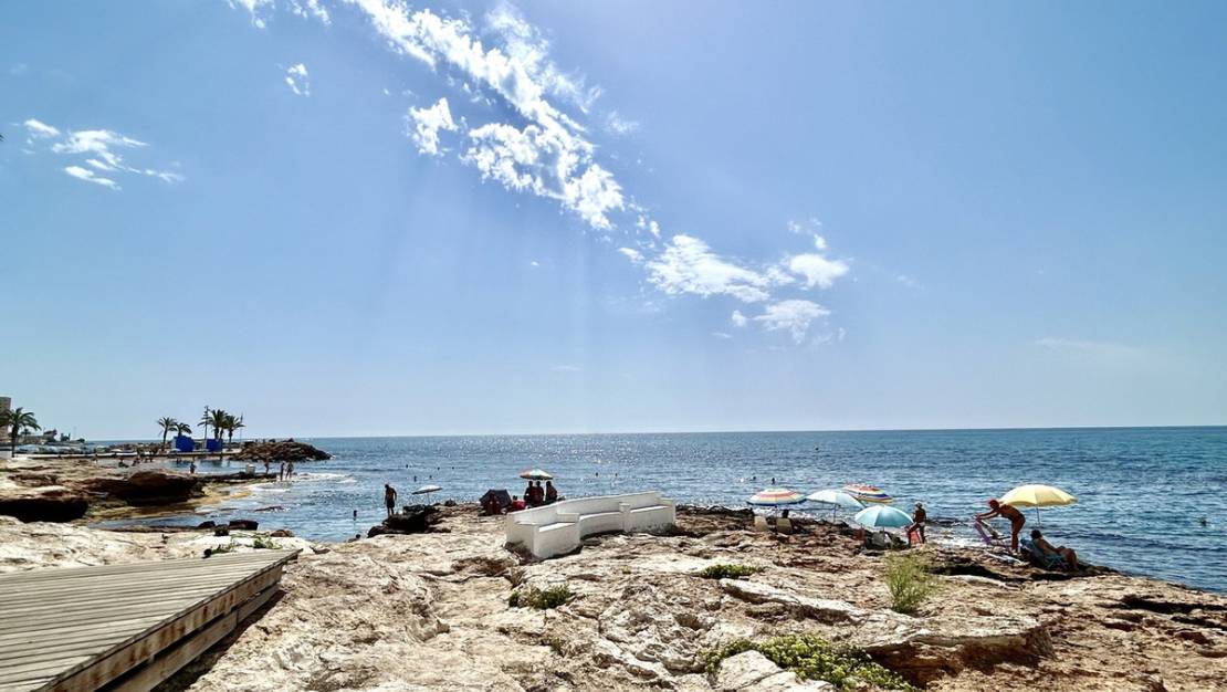 Venta - Apartment - Torrevieja - Torrevieja Centro