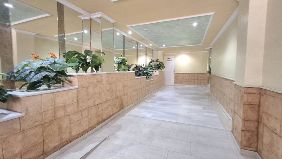 Venta - Apartment - Torrevieja - Torrevieja Centro