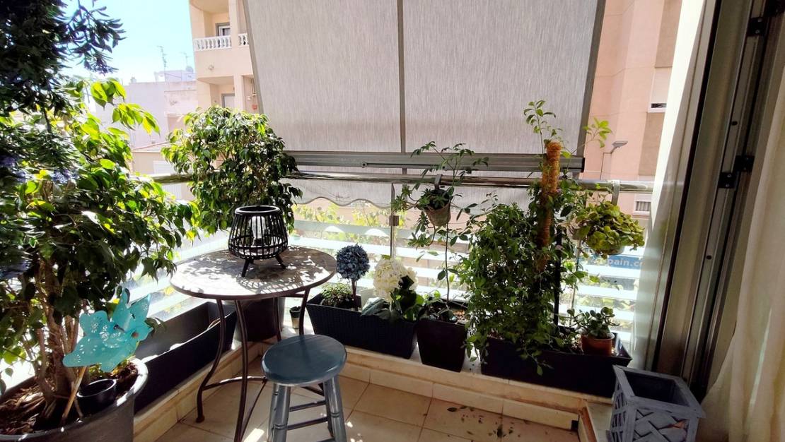 Venta - Apartment - Torrevieja - Torrevieja Centro