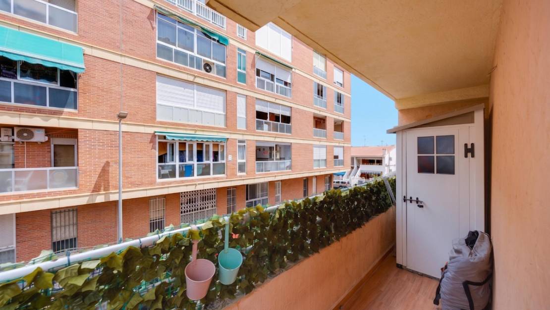 Venta - Apartment - Torrevieja - Torrevieja Centro