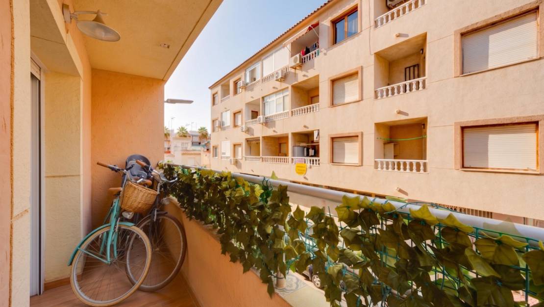 Venta - Apartment - Torrevieja - Torrevieja Centro