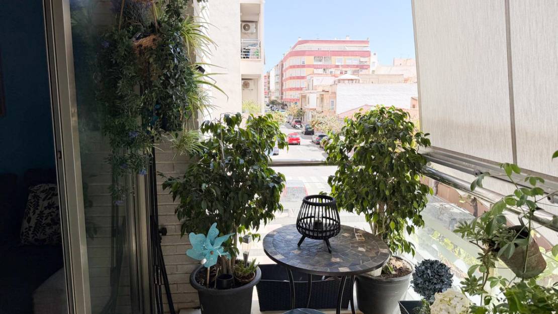 Venta - Apartment - Torrevieja - Torrevieja Centro