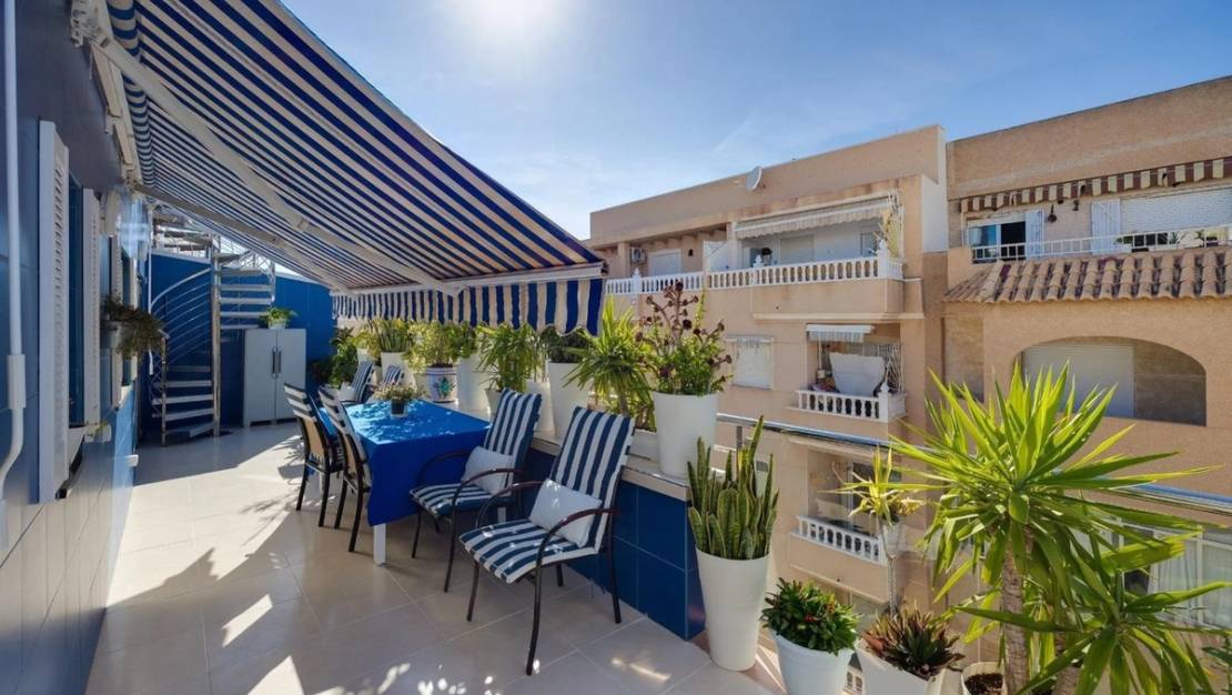 Venta - Apartment - Torrevieja - Torrevieja Centro