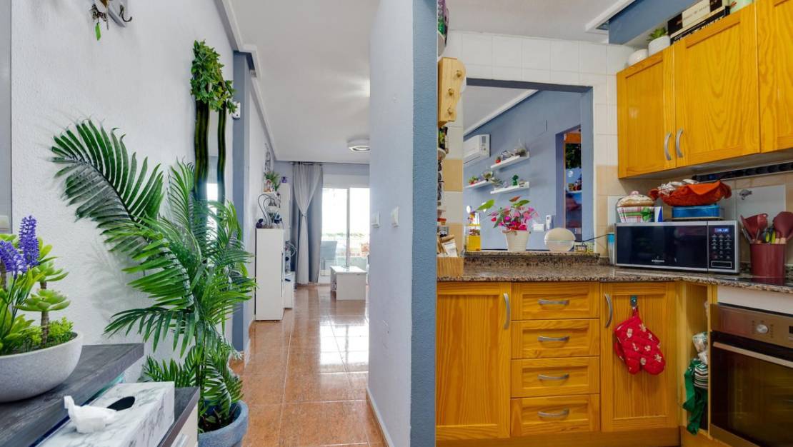 Venta - Apartment - Torrevieja - Torrevieja Centro
