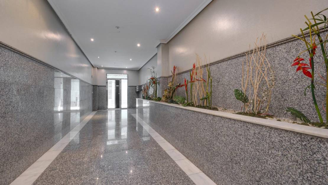 Venta - Apartment - Torrevieja - Torrevieja Centro