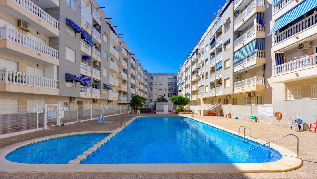 Venta - Apartment - Torrevieja - Torrevieja Centro