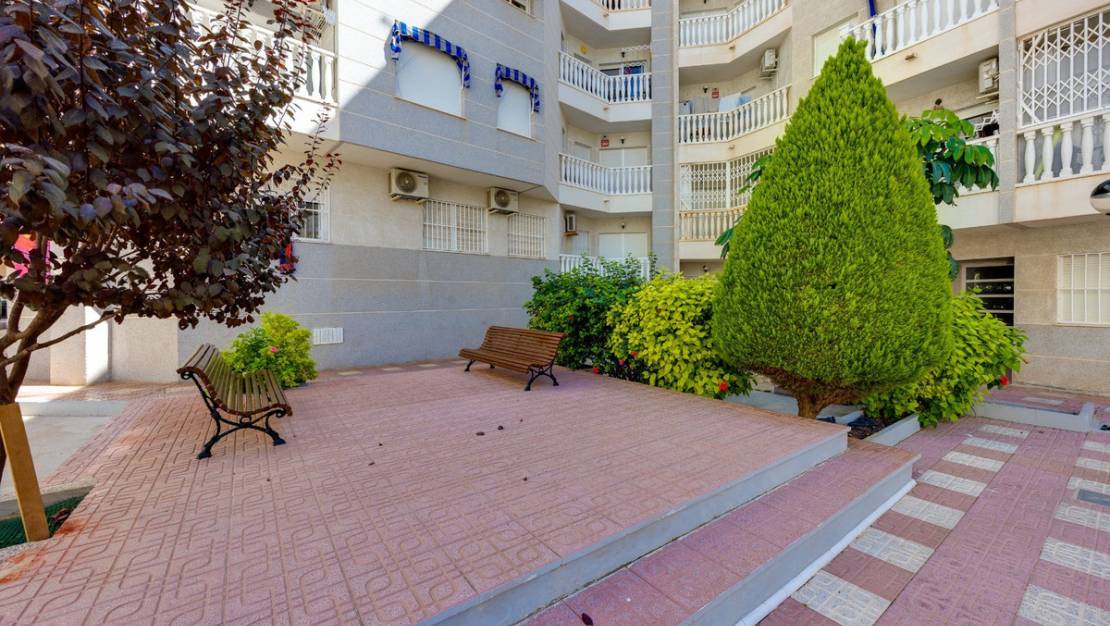 Venta - Apartment - Torrevieja - Torrevieja Centro