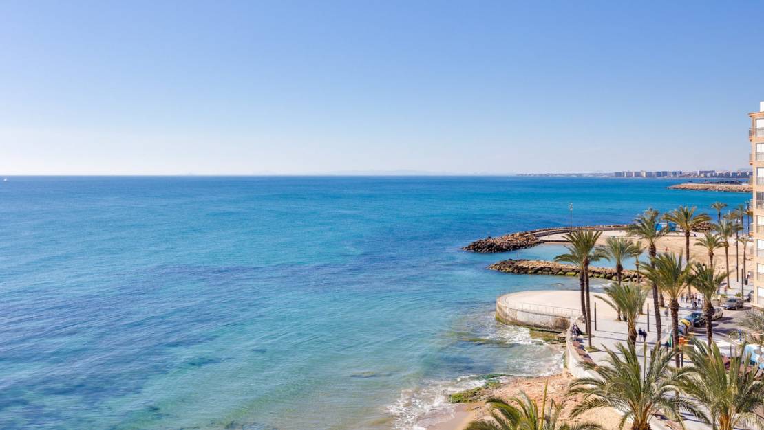 Venta - Apartment - Torrevieja - Torrevieja Centro