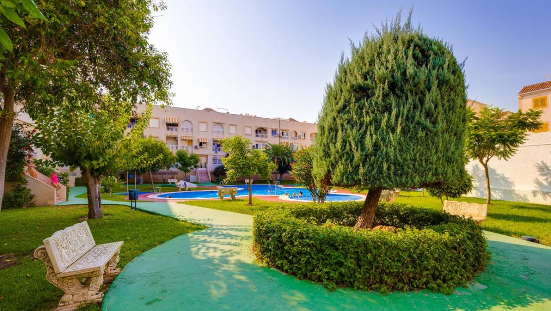 Venta - Apartment - Torrevieja - Torrevieja Centro