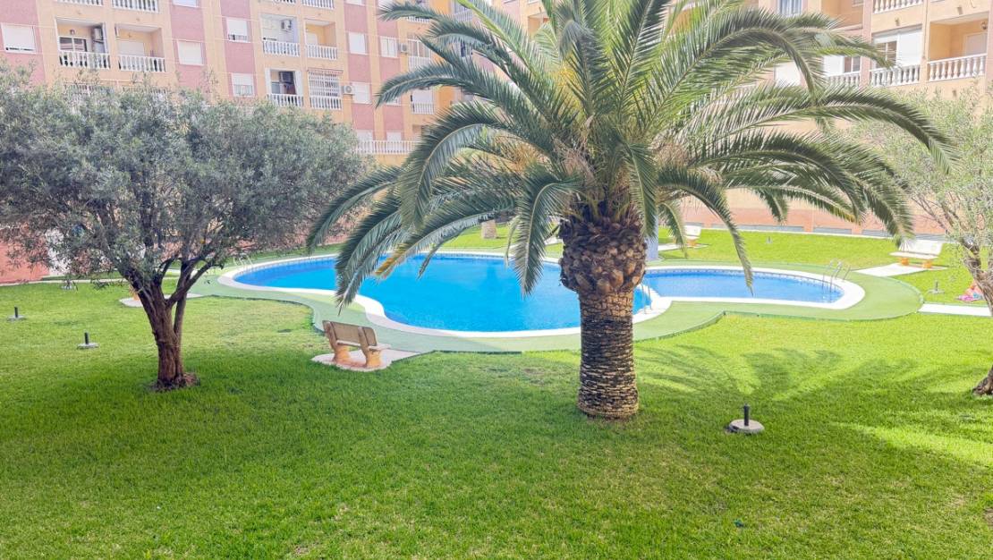 Venta - Apartment - Torrevieja - Torrevieja Centro