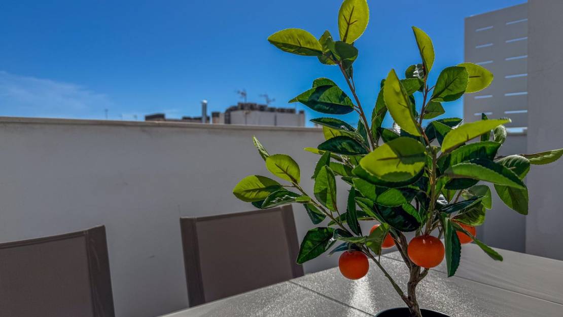 Venta - Apartment - Torrevieja - Torrevieja Centro