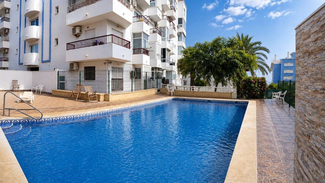 Venta - Apartment - Torrevieja - Torrevieja Centro