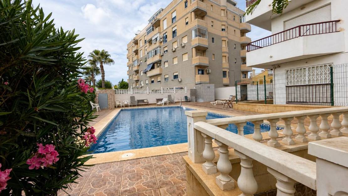 Venta - Apartment - Torrevieja - Torrevieja Centro