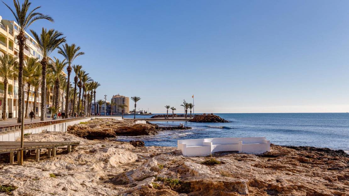 Venta - Apartment - Torrevieja - Torrevieja Centro