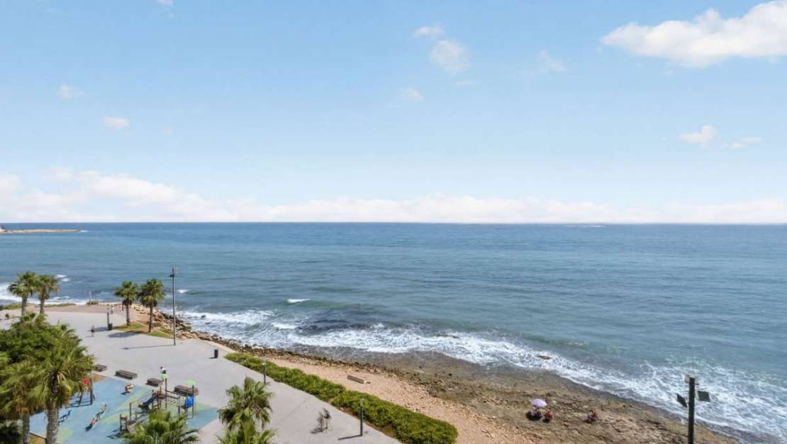 Venta - Apartment - Torrevieja - Torrevieja Centro