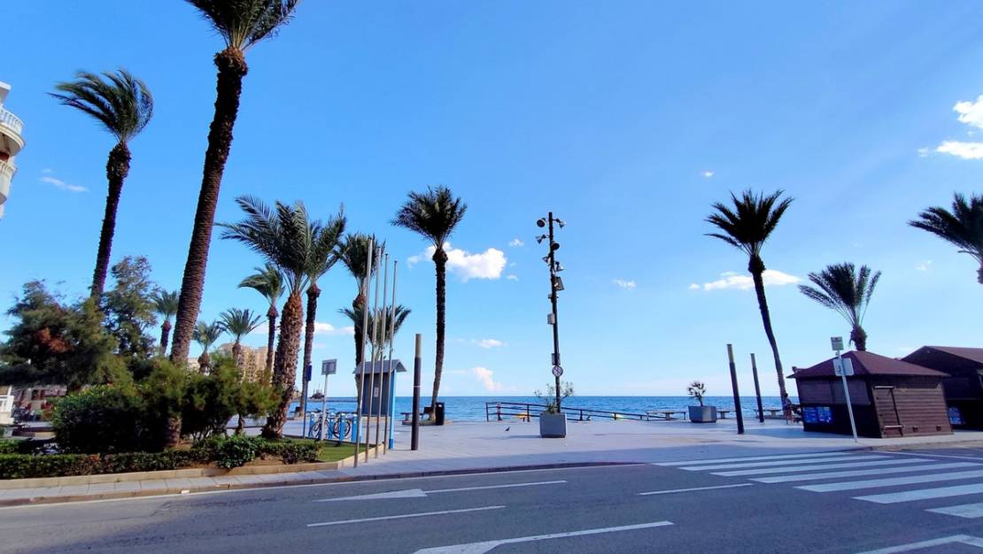 Venta - Apartment - Torrevieja - Torrevieja Centro