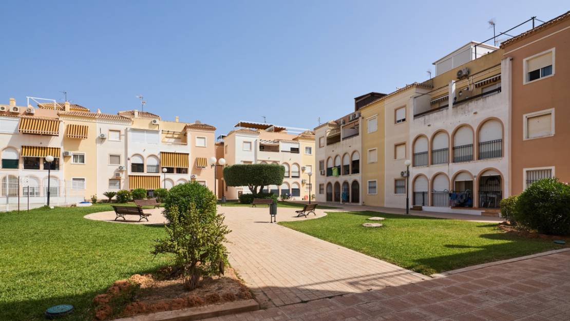 Venta - Apartment - Torrevieja - Torrevieja Centro