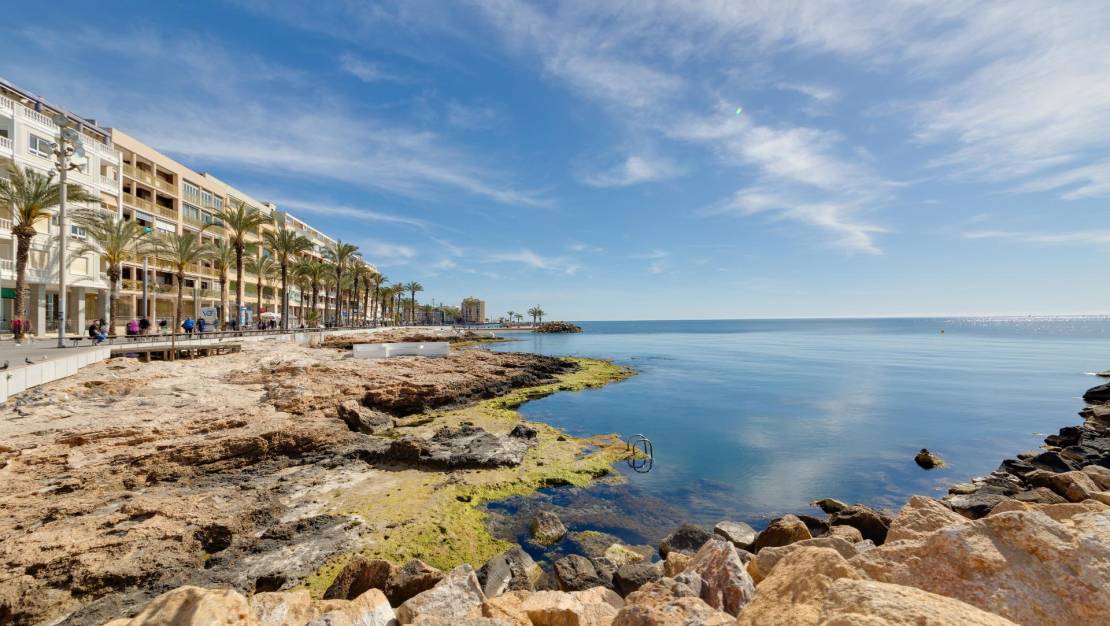 Venta - Atico - Torrevieja - Habaneras