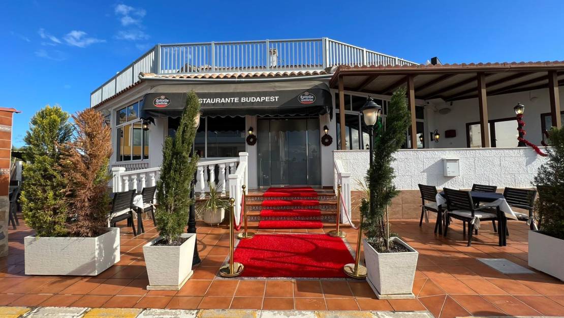 Venta - Business - Ciudad Quesada - Lo pepin