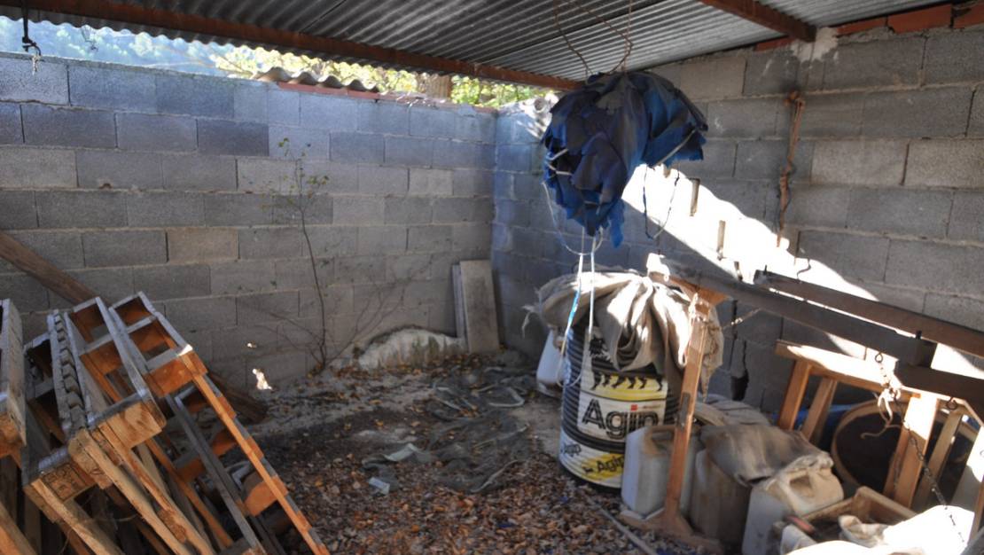 Venta - Cave house - Jumilla - La Zarza