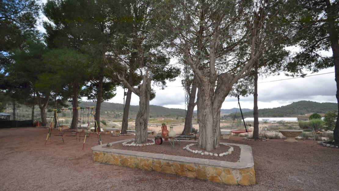 Venta - Cave house - Pinoso - Pinoso Centro