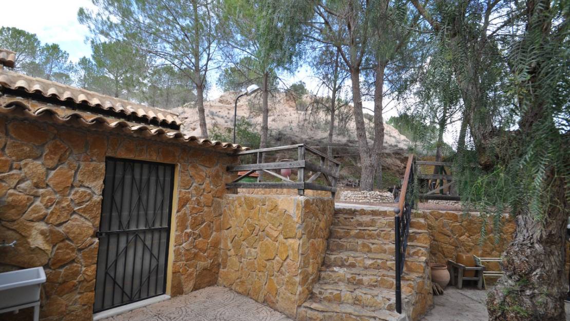 Venta - Cave house - Pinoso - Pinoso Centro