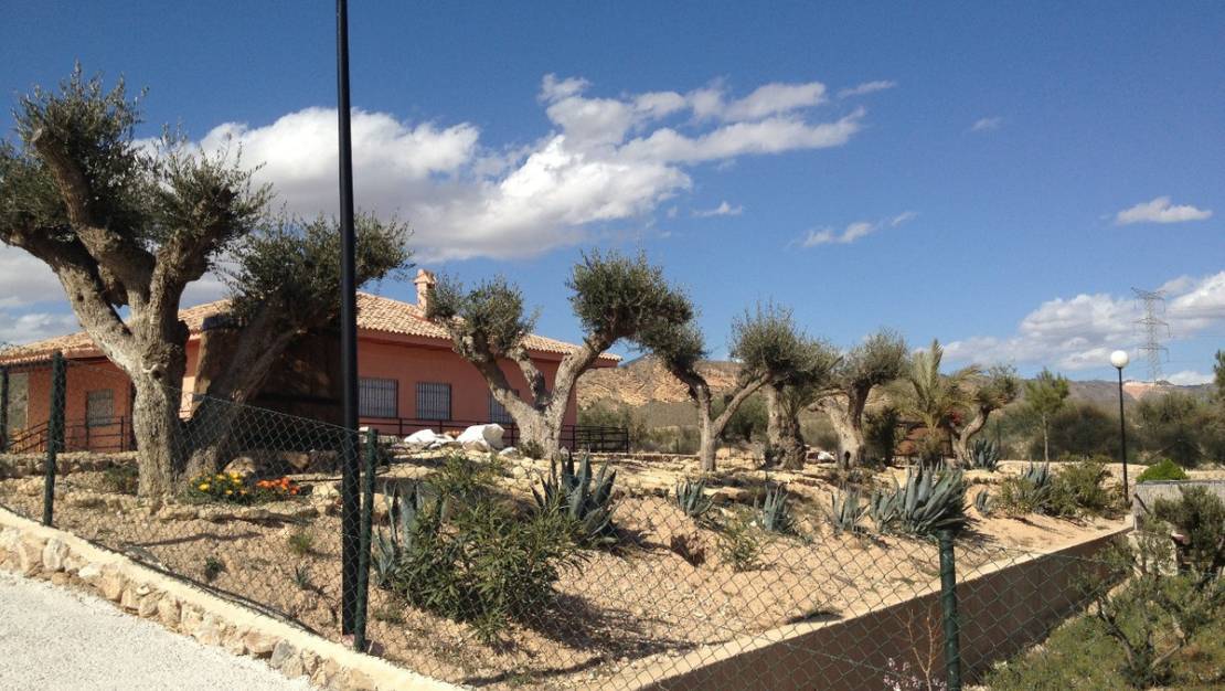 Venta - Chalet - Abanilla - Abanilla Centro