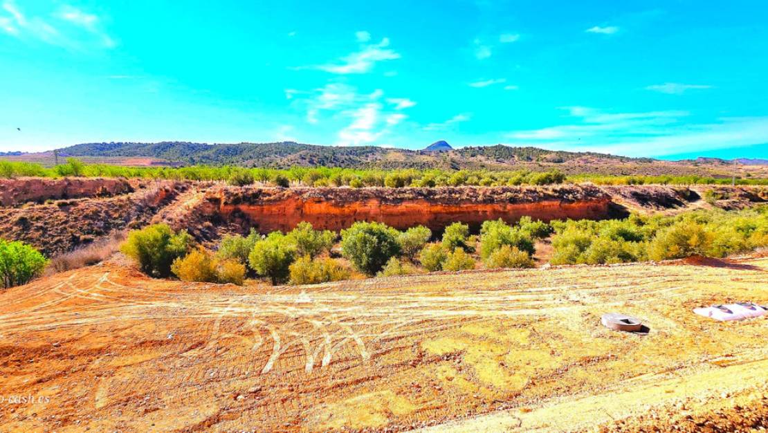 Venta - Chalet - Abanilla - Macisvenda