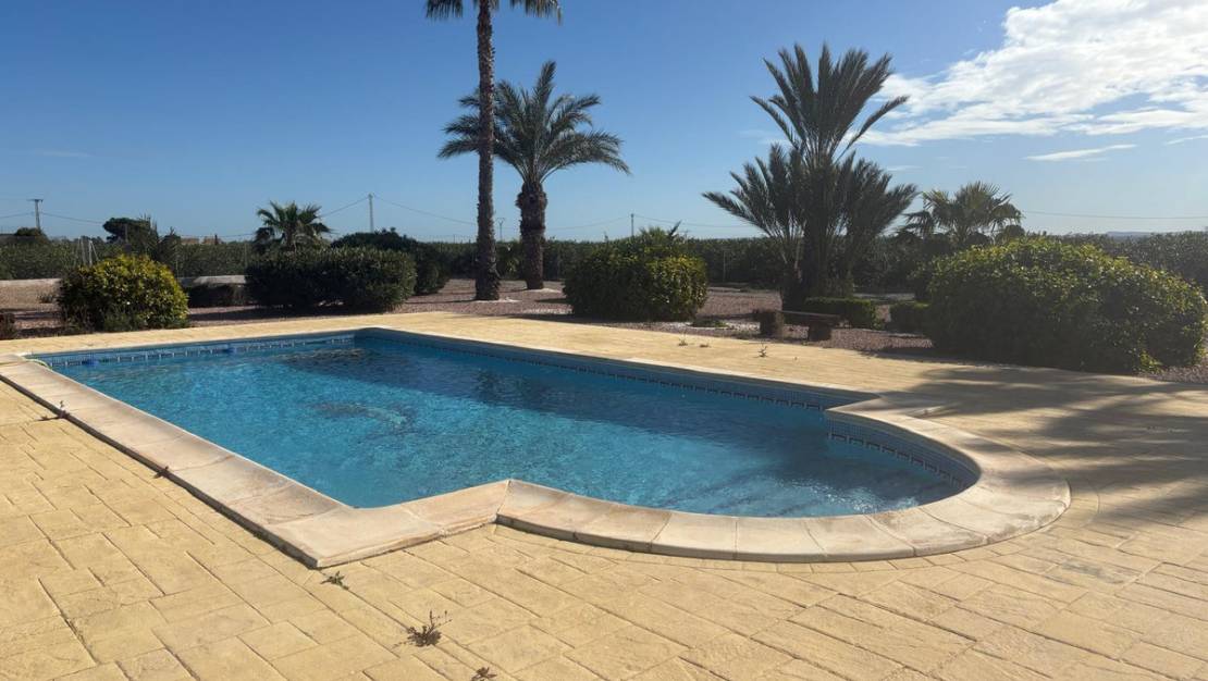 Venta - Chalet - Albatera - Albatera Centro