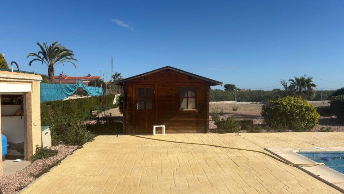 Venta - Chalet - Albatera - Albatera Centro