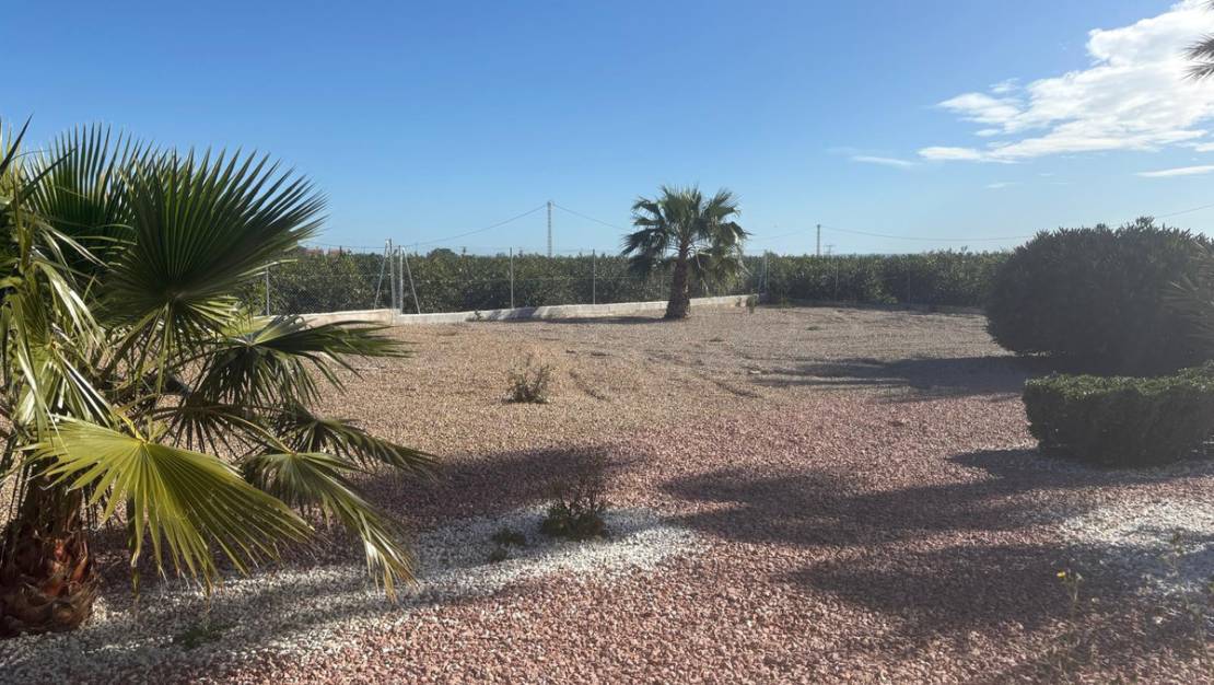 Venta - Chalet - Albatera - Albatera Centro