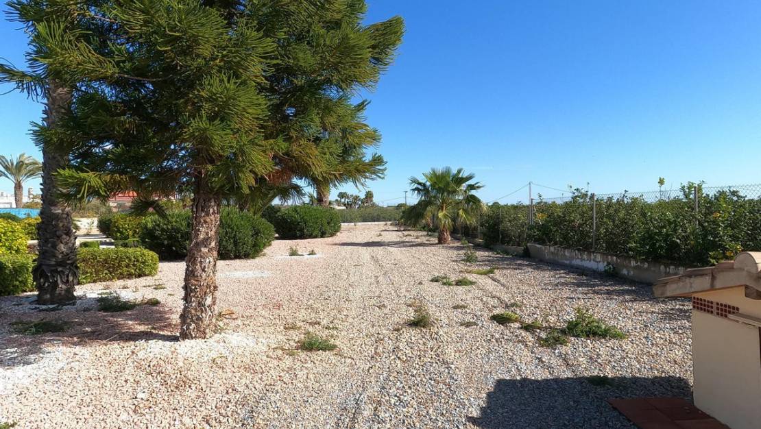 Venta - Chalet - Albatera - Albatera Centro