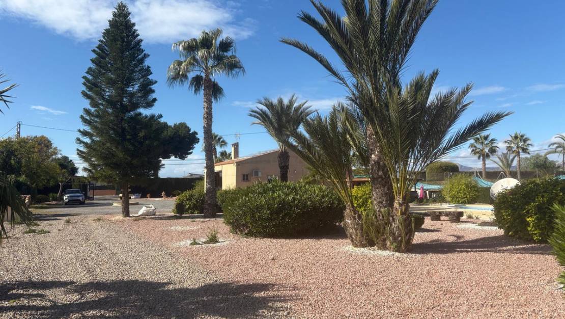 Venta - Chalet - Albatera - Albatera Centro