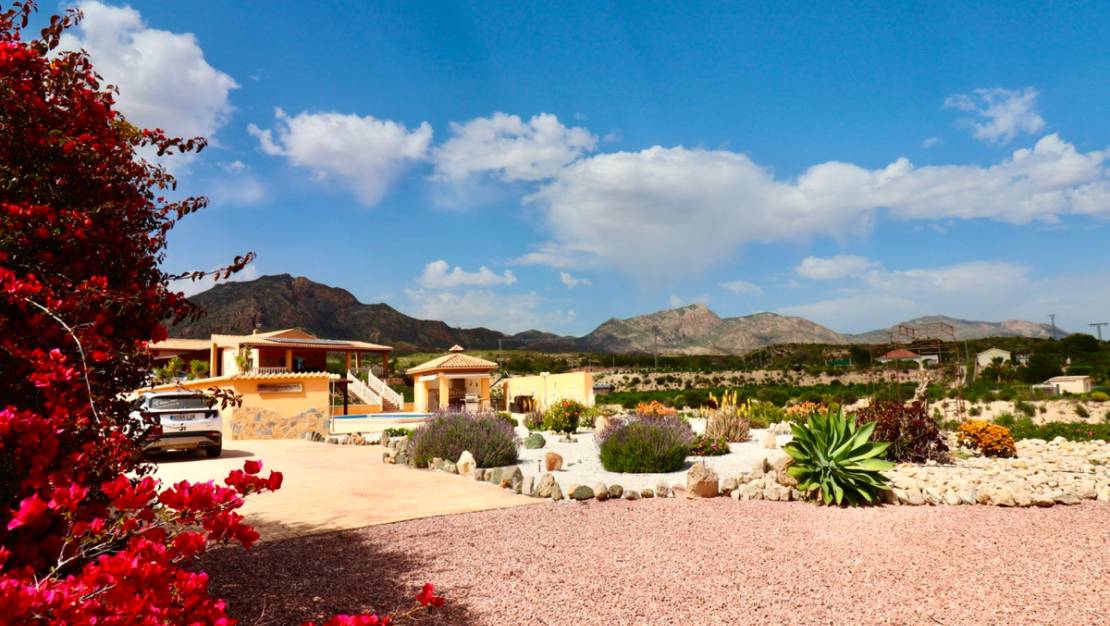 Venta - Chalet - Albatera - Albatera Centro