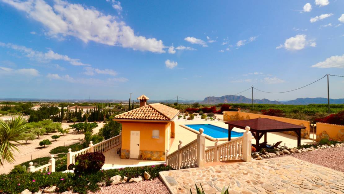 Venta - Chalet - Albatera - Albatera Centro