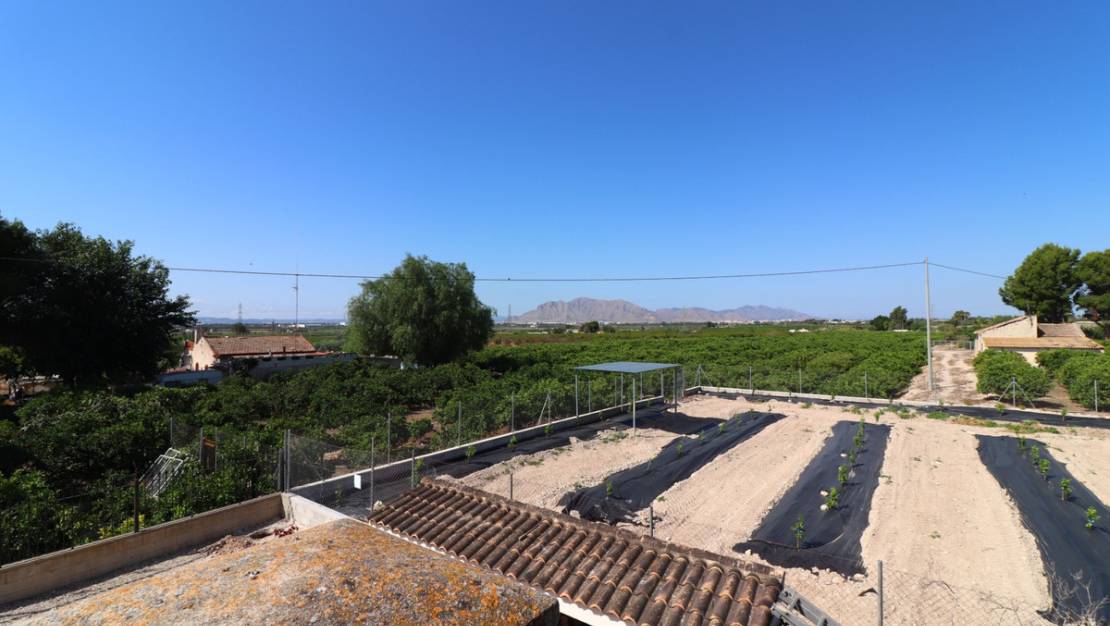 Venta - Chalet - Albatera - Albatera Centro