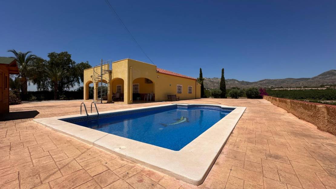 Venta - Chalet - Albatera - Albatera Centro