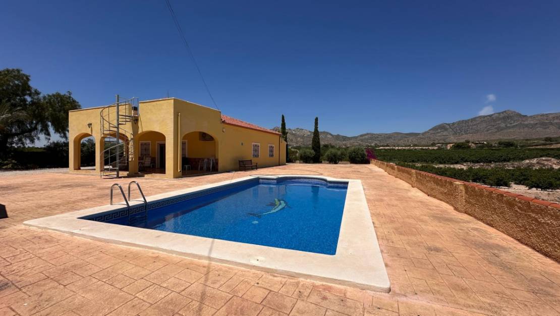 Venta - Chalet - Albatera - Albatera Centro