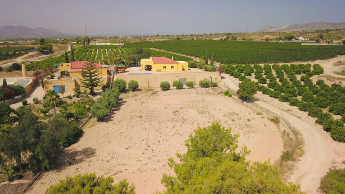 Venta - Chalet - Albatera - Albatera Centro