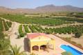 Venta - Chalet - Albatera - Albatera Centro