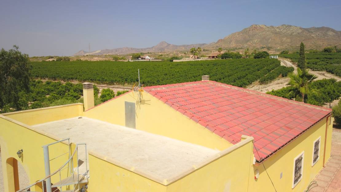 Venta - Chalet - Albatera - Albatera Centro