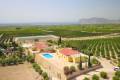 Venta - Chalet - Albatera - Albatera Centro