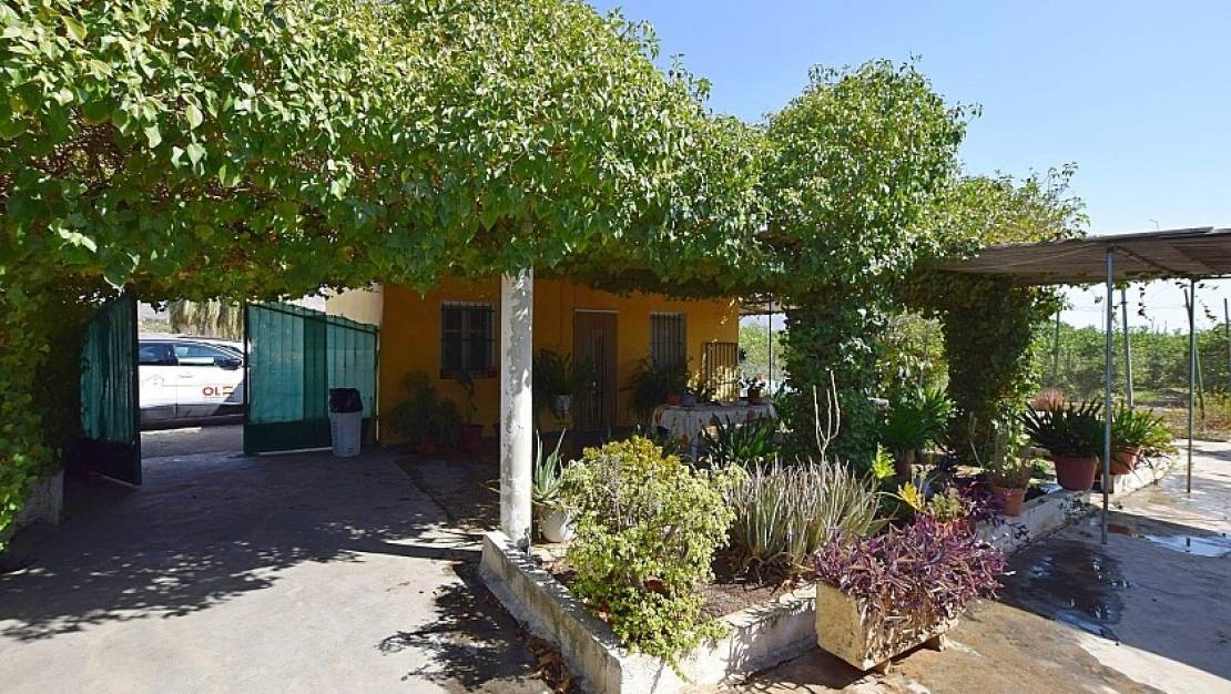 Venta - Chalet - Albatera - Albatera Centro