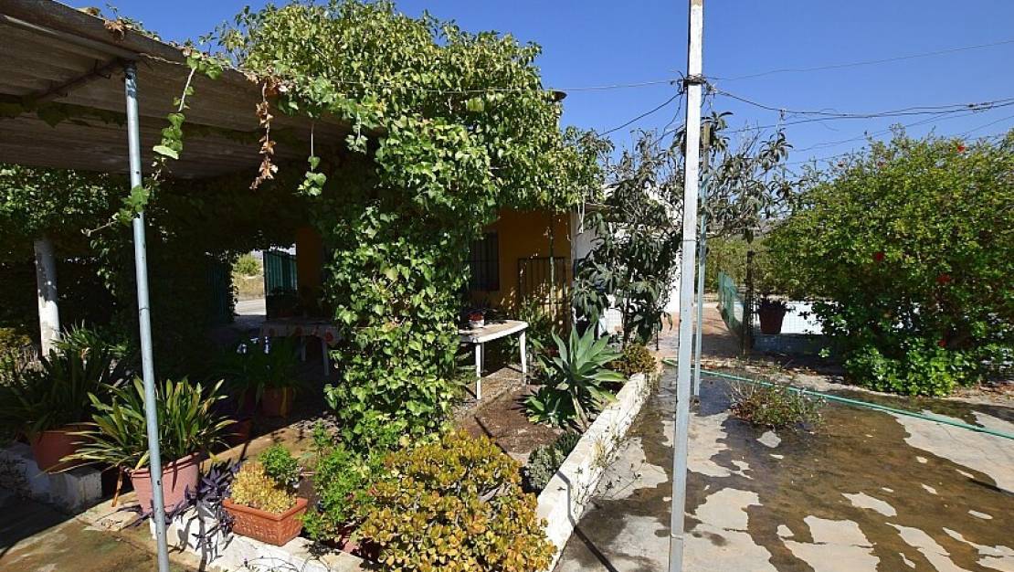 Venta - Chalet - Albatera - Albatera Centro