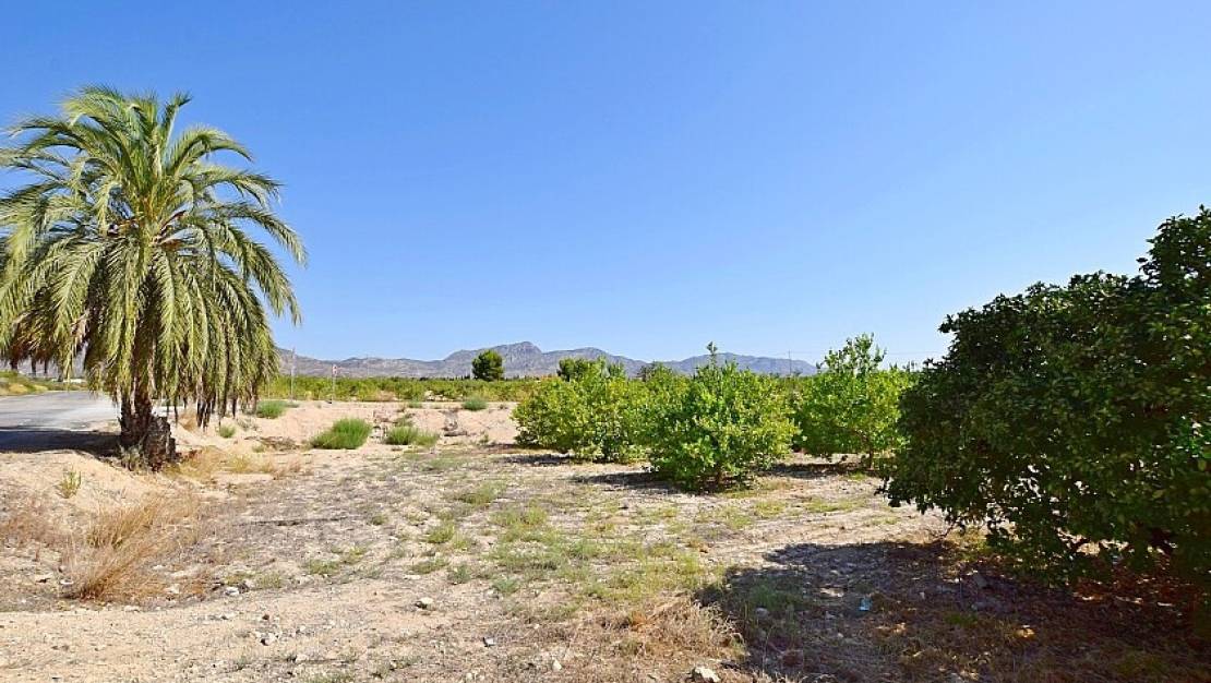 Venta - Chalet - Albatera - Albatera Centro