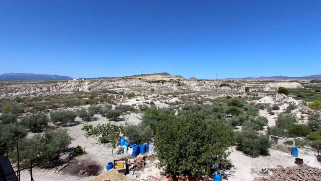 Venta - Chalet - Albudeite