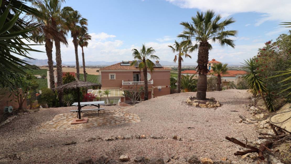 Venta - Chalet - Algorfa - Algorfa Centro