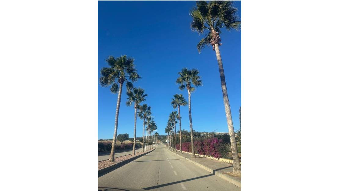 Venta - Chalet - Algorfa - Algorfa Centro